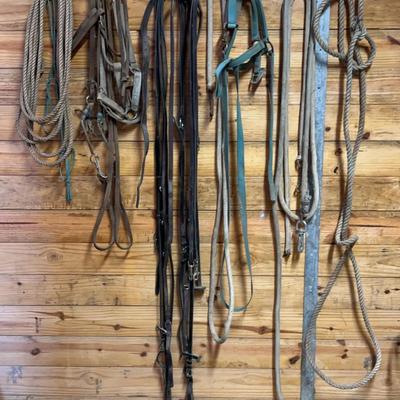 Horse Tack Lead Ropes, Halters, Bridals, Etc.