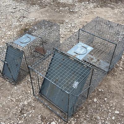 Two Little Giant Live Animal Traps