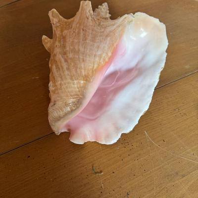 Sale Photo Thumbnail #25