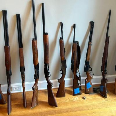 An impressive collection of rifles and shotguns. All cleaned and ready. 