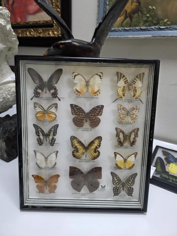 Sale Photo Thumbnail #21