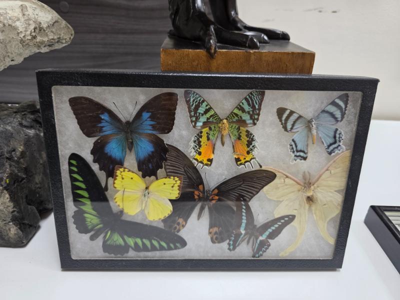 Sale Photo Thumbnail #20