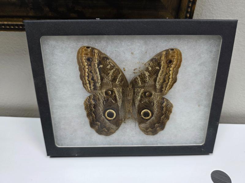 Sale Photo Thumbnail #18