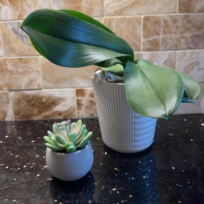 Faux Plants in White Pots