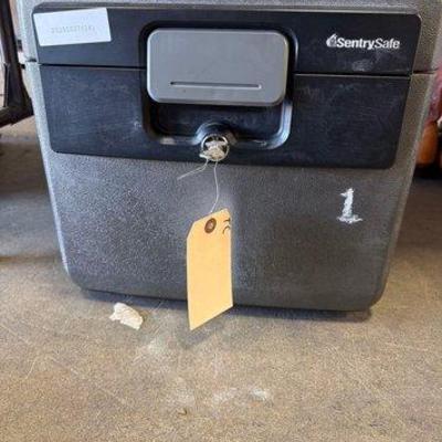 1542 • sentry safe