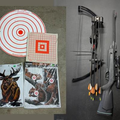 Cadet Delta Gamo Air Rifle With Case & Jtr Bow and Targets