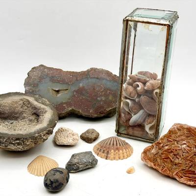 Assorted Rocks, Minerals, Shells & Vintage Glass Display Tower