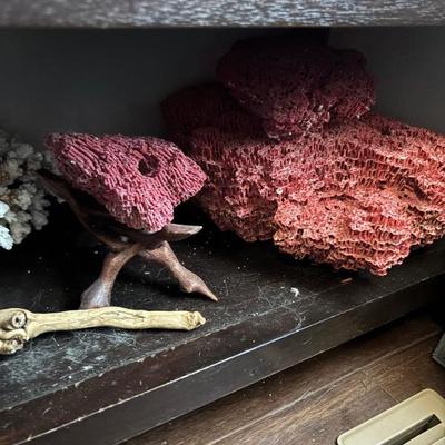 Sale Photo Thumbnail #388