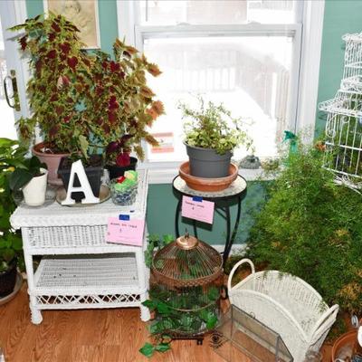 017 some highlights plainfield estate sale