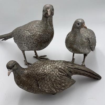 Trio of Silver Pheasants 