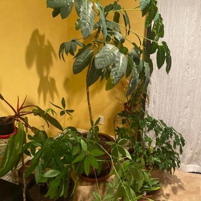 Sale Photo Thumbnail #112