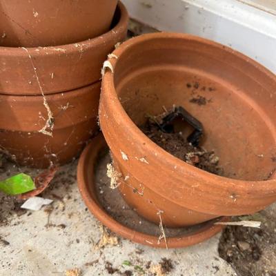 Sale Photo Thumbnail #310