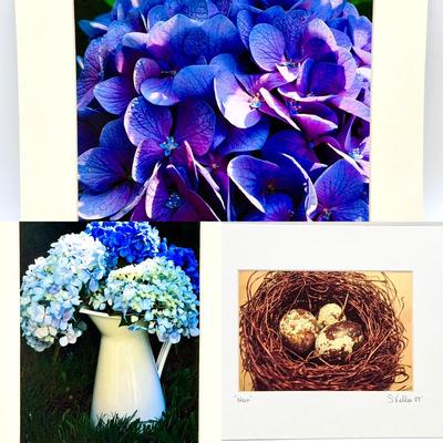 (3) Signed S. Vallee Photography Prints 