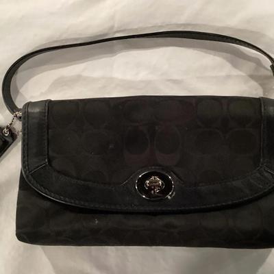 Small Coach Purse