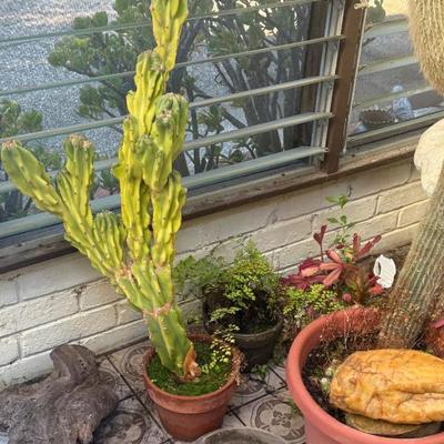 Sale Photo Thumbnail #100