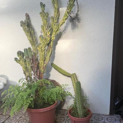 Sale Photo Thumbnail #102