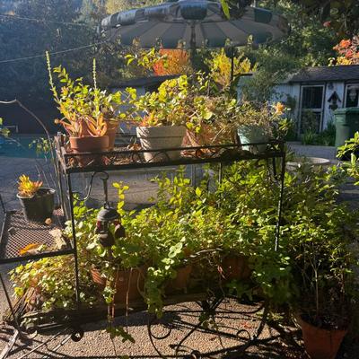 Sale Photo Thumbnail #96