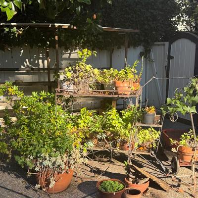 Sale Photo Thumbnail #97