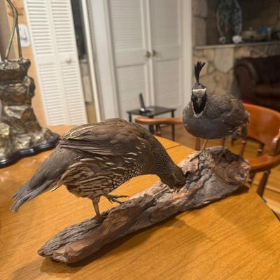 Sale Photo Thumbnail #111