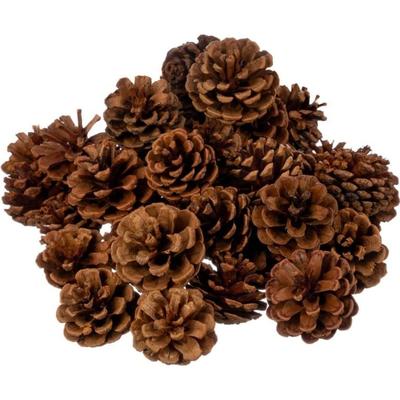 Sale Photo Thumbnail #1242