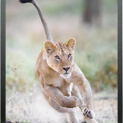 Sale Photo Thumbnail #1356