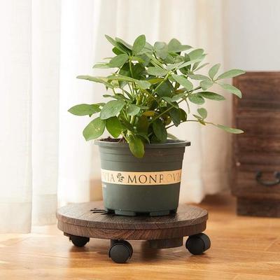 Sale Photo Thumbnail #30