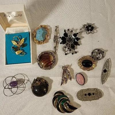 Stones and Black Pins and Brooches