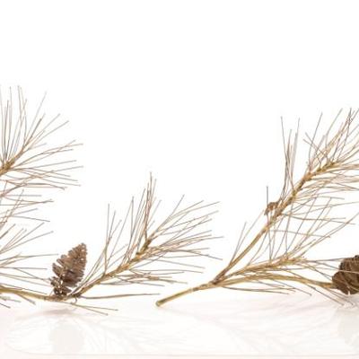 Sale Photo Thumbnail #262