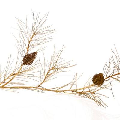 Sale Photo Thumbnail #261