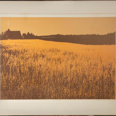 Sale Photo Thumbnail #498