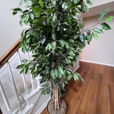 Sale Photo Thumbnail #167