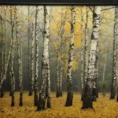 Sale Photo Thumbnail #184