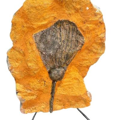 Sale Photo Thumbnail #153