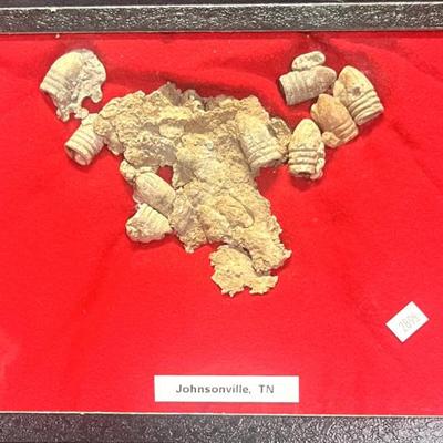 Sale Photo Thumbnail #260