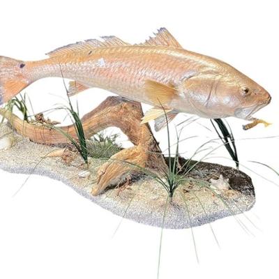 Sale Photo Thumbnail #170