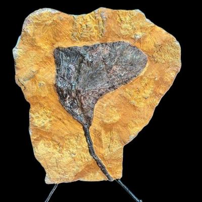 Sale Photo Thumbnail #155