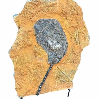 Sale Photo Thumbnail #154