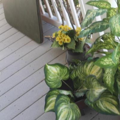 Sale Photo Thumbnail #11