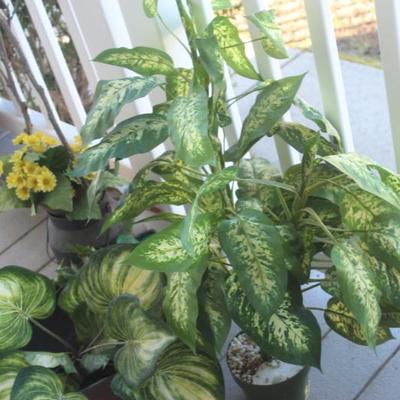 Sale Photo Thumbnail #10