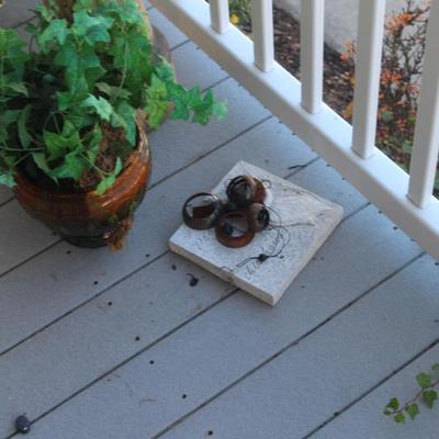 Sale Photo Thumbnail #9