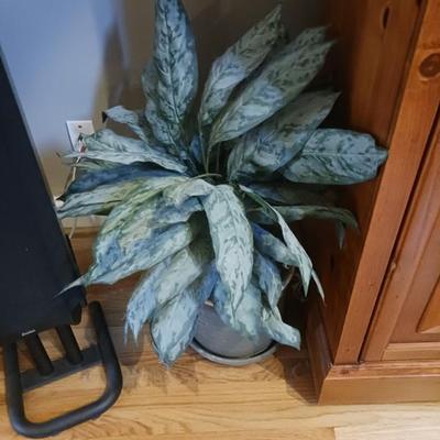 Sale Photo Thumbnail #51