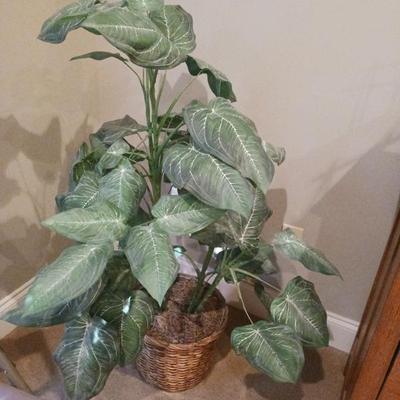 Sale Photo Thumbnail #29