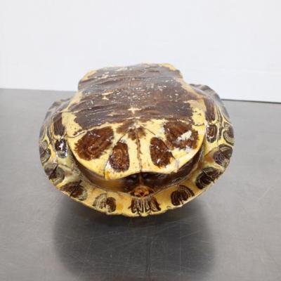 Sale Photo Thumbnail #2