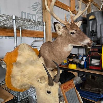 Sale Photo Thumbnail #211