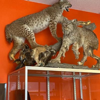 Sale Photo Thumbnail #74