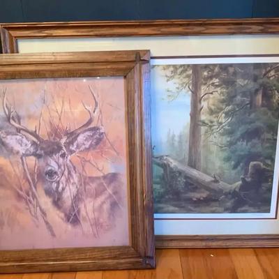 Framed Wildlife Art Collection, featuring Signed & Numbered Mary Pettis Print