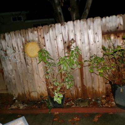 Sale Photo Thumbnail #102