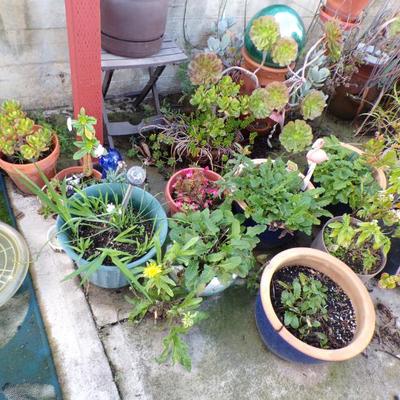 Sale Photo Thumbnail #152