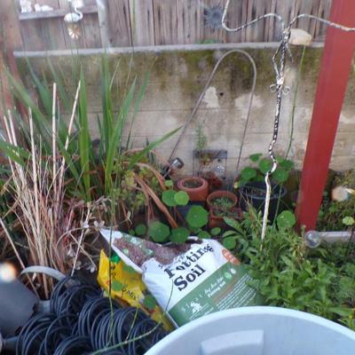 Sale Photo Thumbnail #163