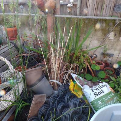 Sale Photo Thumbnail #160